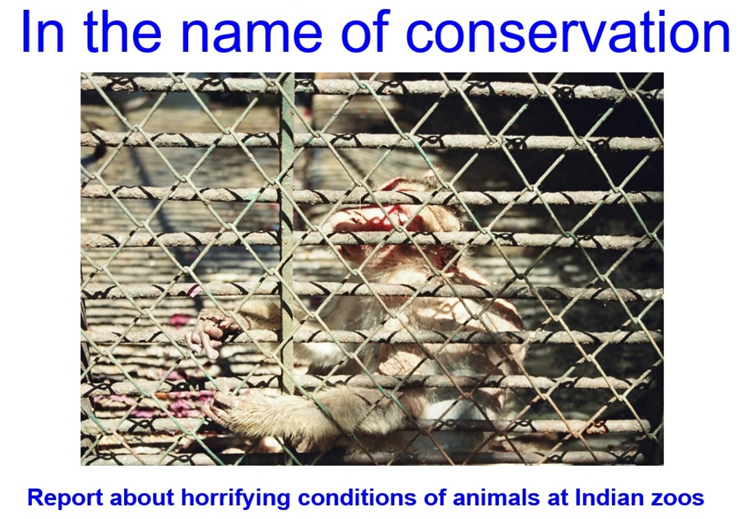Indian Zoos Cruelty