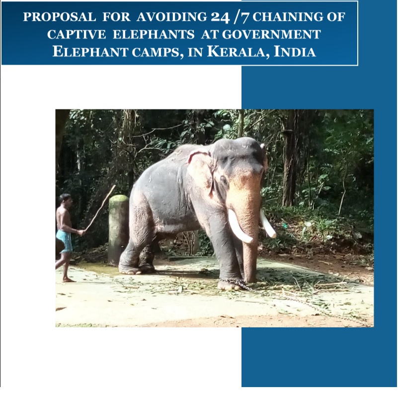 Kerala – Avoid 24 hours chaining of elephants