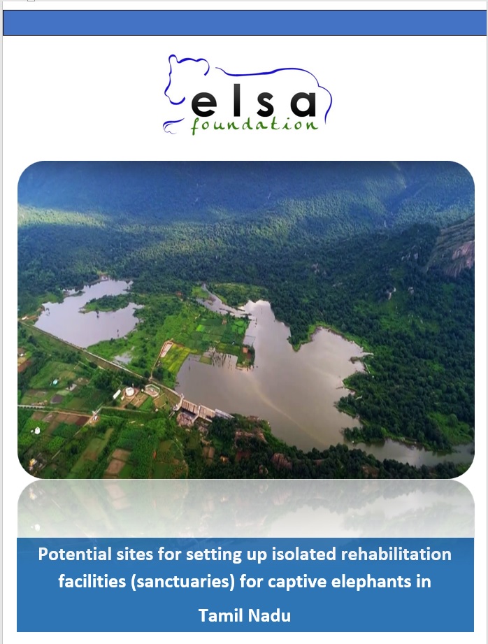 Elephants – Potential Rehab Sites