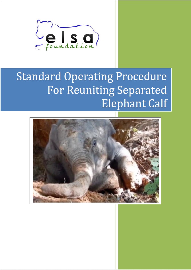 SOP-Reuniting Separated Calf