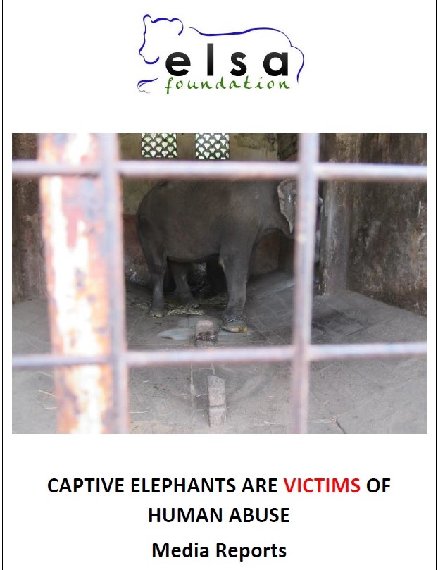 Elephants -Victims of human abuse