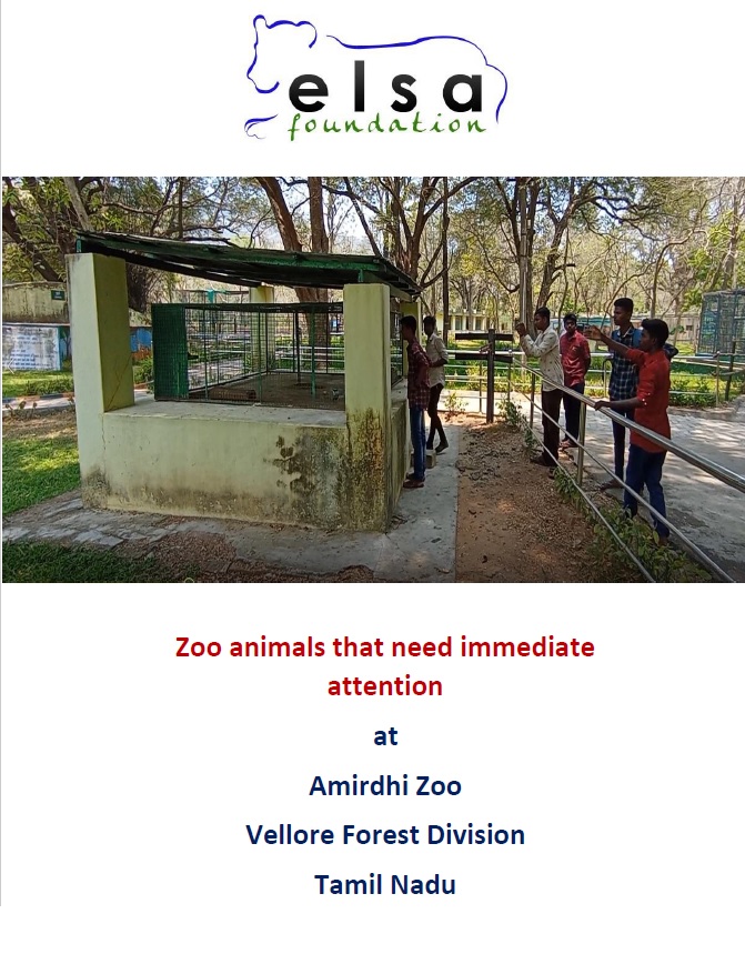 Vellore Zoo (TN) Report