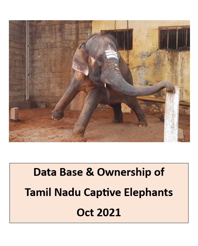 TN Captive Elephants Data