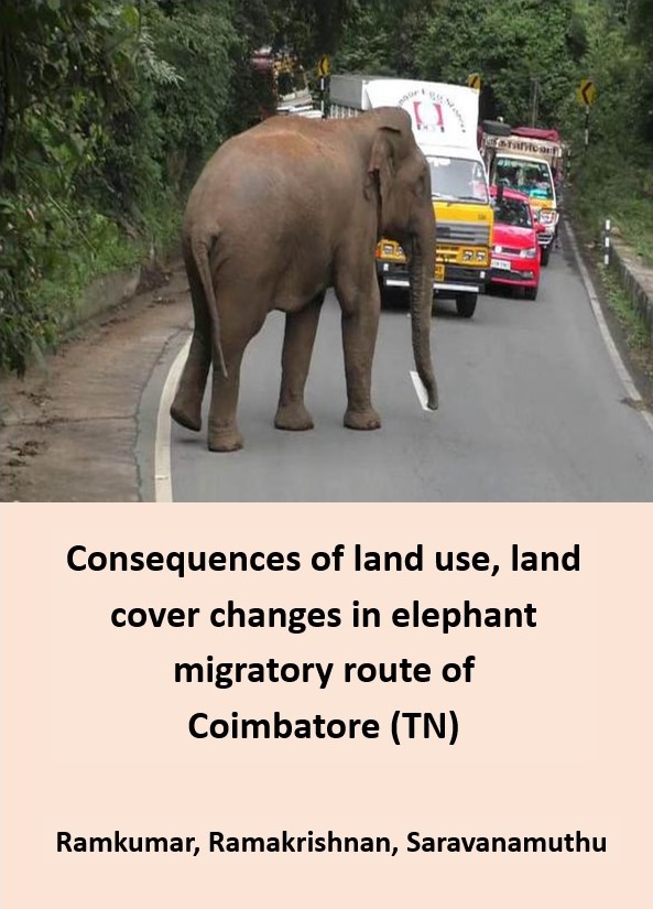 Coimbatore elephants’ migratory route encroachment