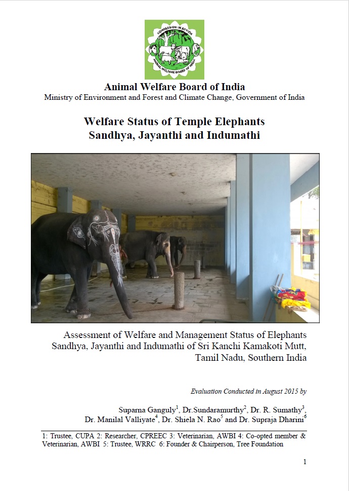 Kanchipuram, TN – Temple elephants inspection