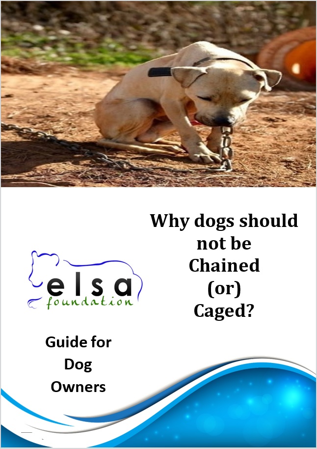 Guide for Dog Owners