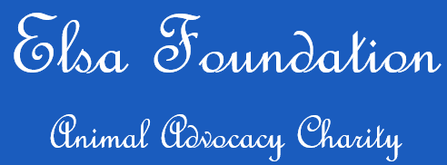 Elsa Foundation