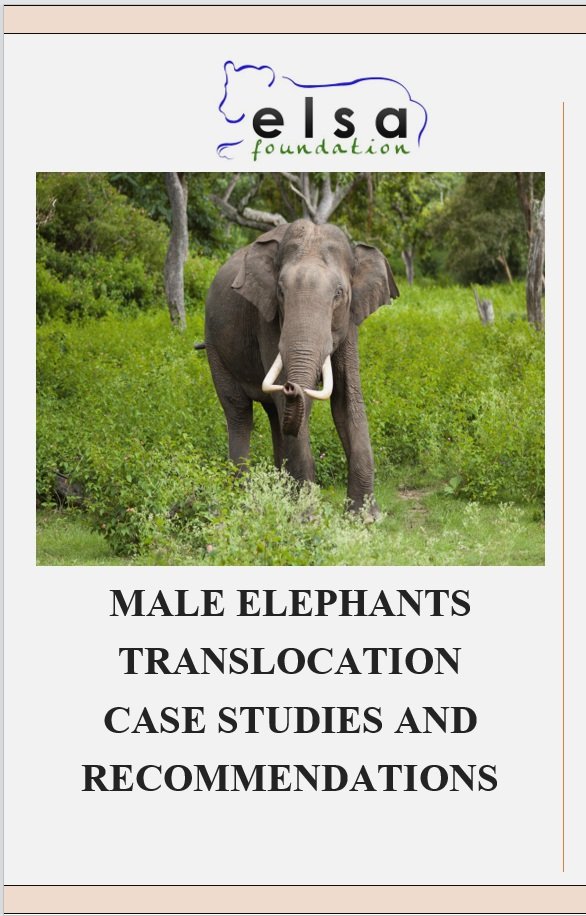 Translocation Case Studies and Recommendations